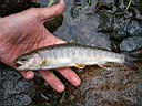2006-05-30 008.JPG